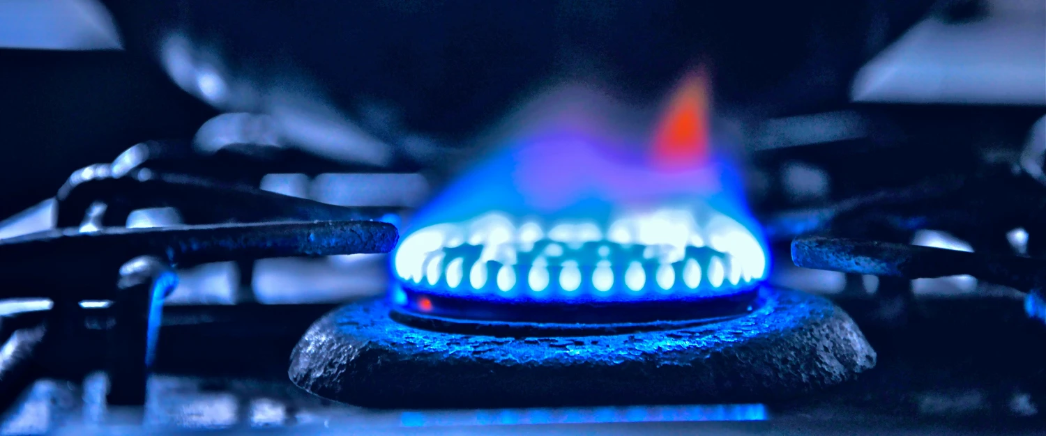 Gas Stove